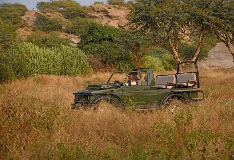 Resort Jawai Leopard Safari Lodge