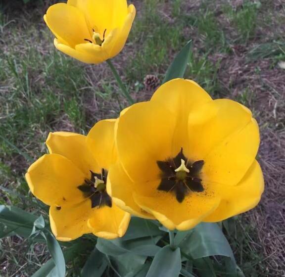 تختخواب و صبحانه Maison D'hôtes Aux Deux Cigognes