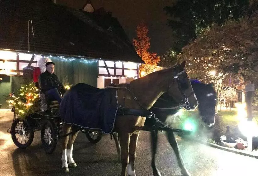 ベッドアンドブレックファースト Maison D'hôtes Aux Deux Cigognes