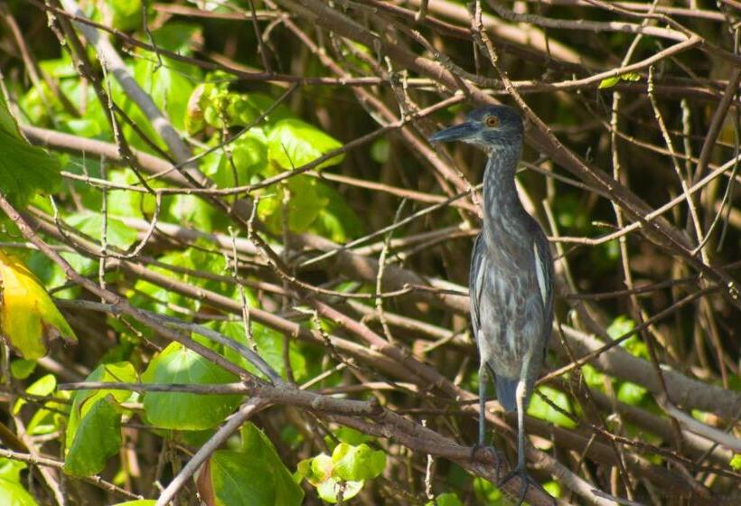 Hotel Casa Barlovento