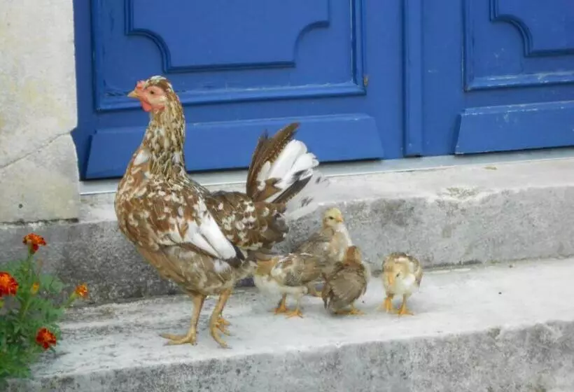 ホテル Château De Mavaleix