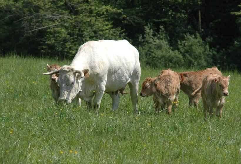 Отель Château De Mavaleix