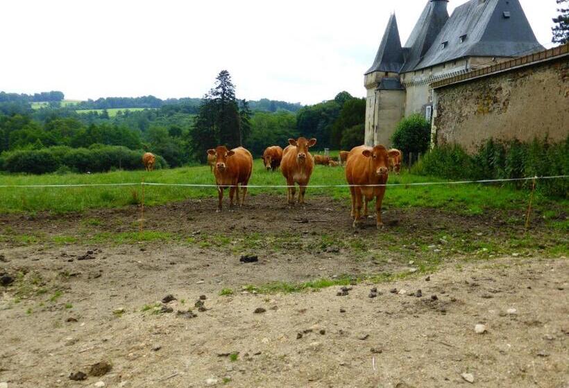 Отель Château De Mavaleix