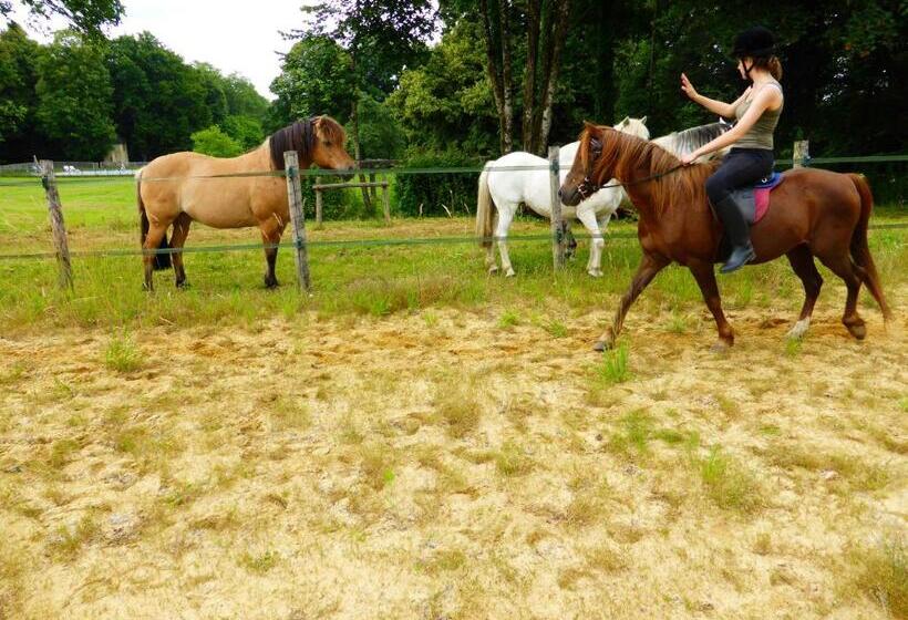 Отель Château De Mavaleix