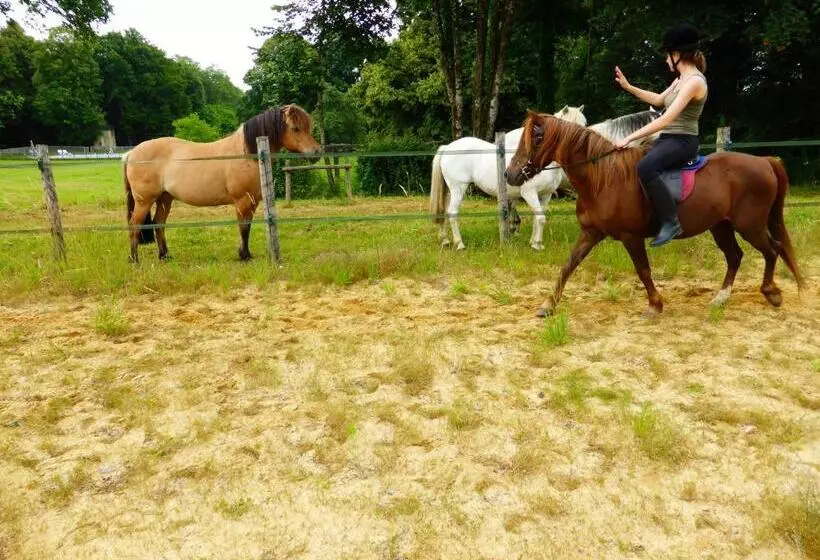 ホテル Château De Mavaleix