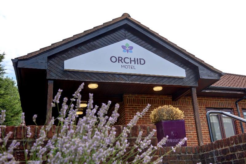Orchid Epsom; Sure Hotel Collection By Best Western