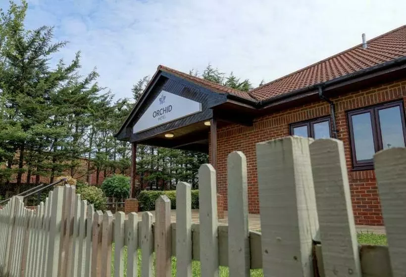 Orchid Epsom; Sure Hotel Collection By Best Western