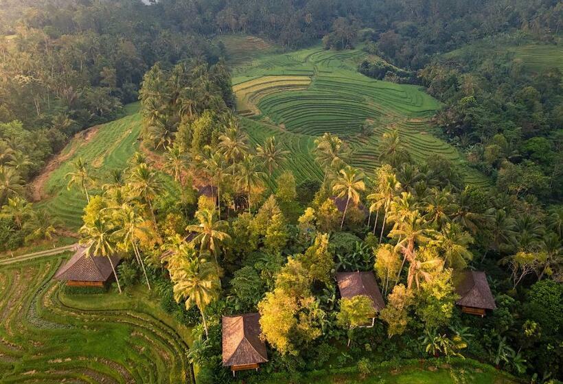 Resort Clove Tree Hill