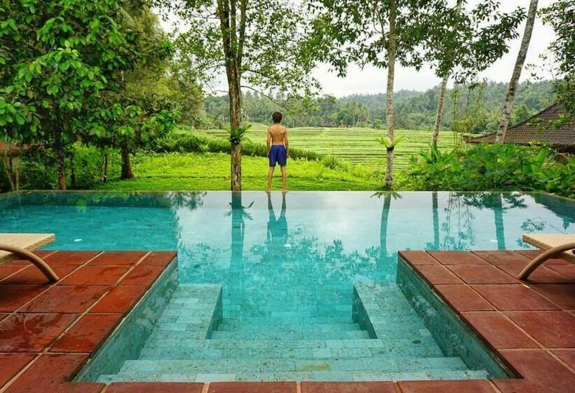 Kurort Clove Tree Hill