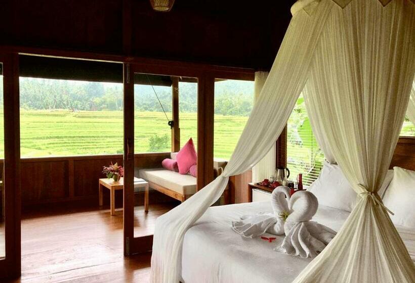 Resort Clove Tree Hill