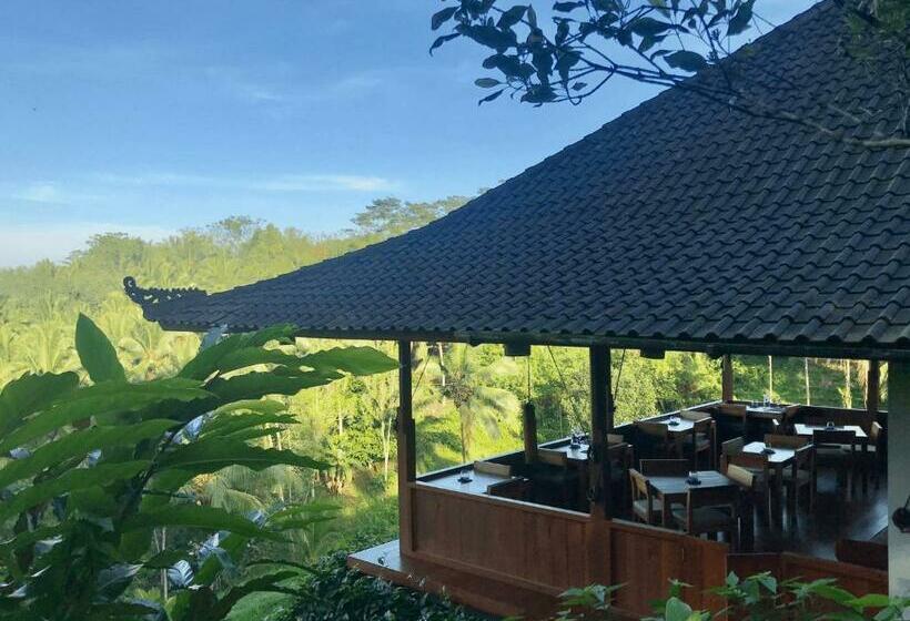 Resort Clove Tree Hill