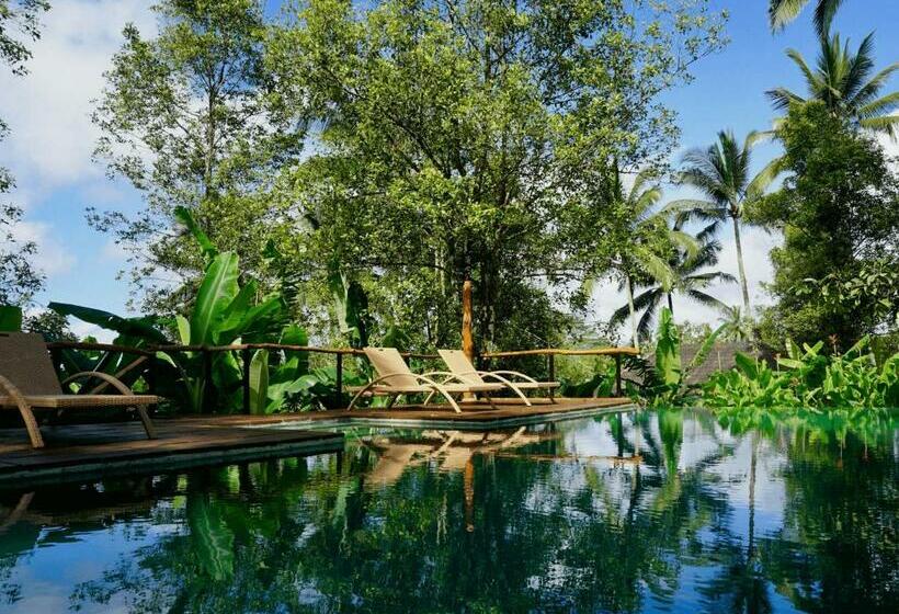 Kurort Clove Tree Hill