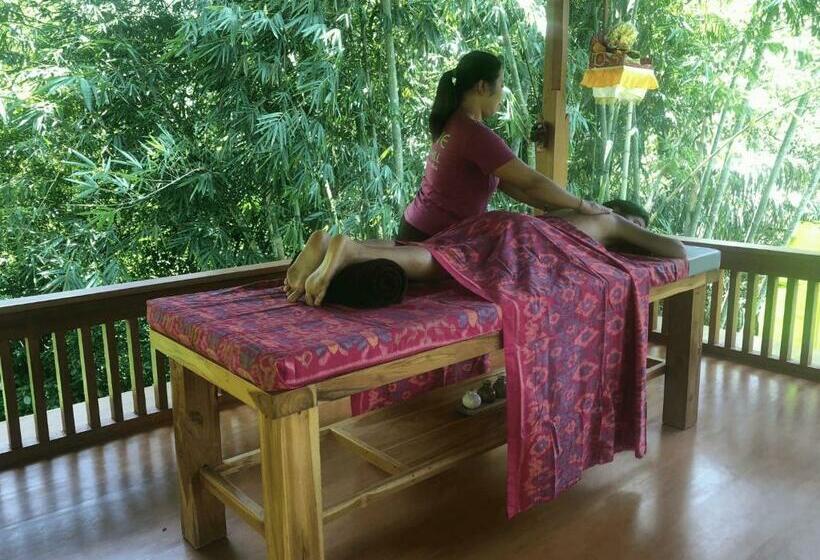 Kurort Clove Tree Hill