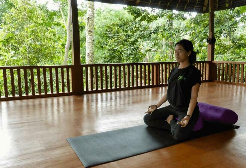 Kurort Clove Tree Hill