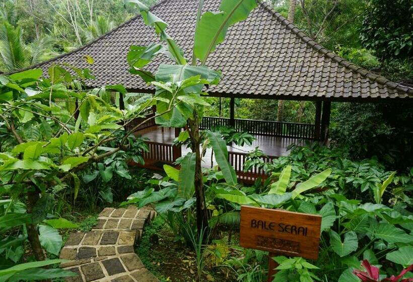 Kurort Clove Tree Hill