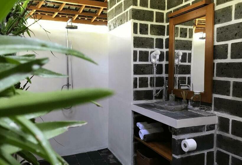 Kurort Clove Tree Hill