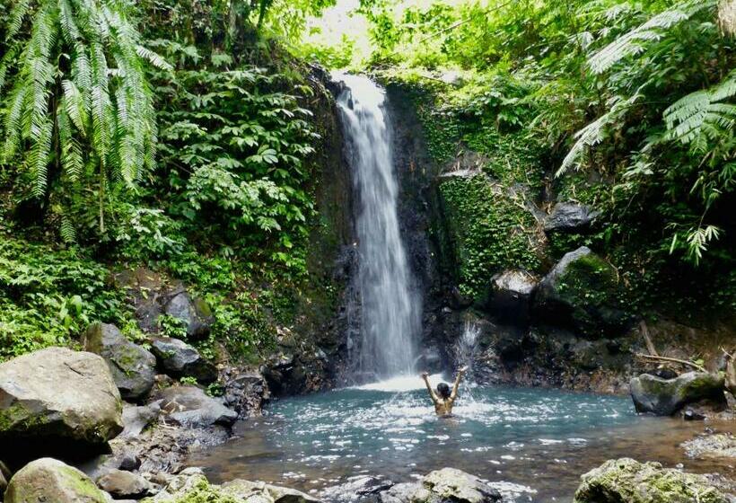 Kurort Clove Tree Hill