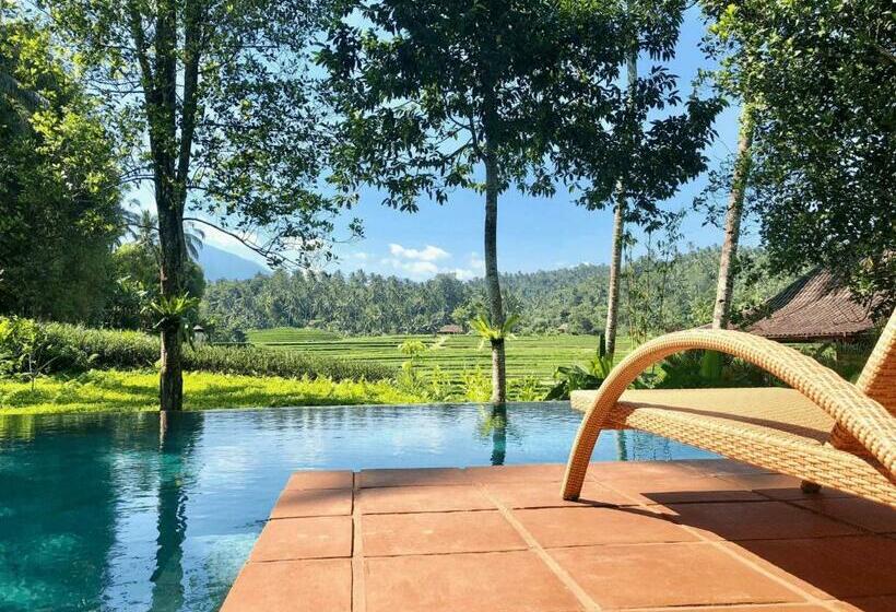 リゾートホテル Clove Tree Hill