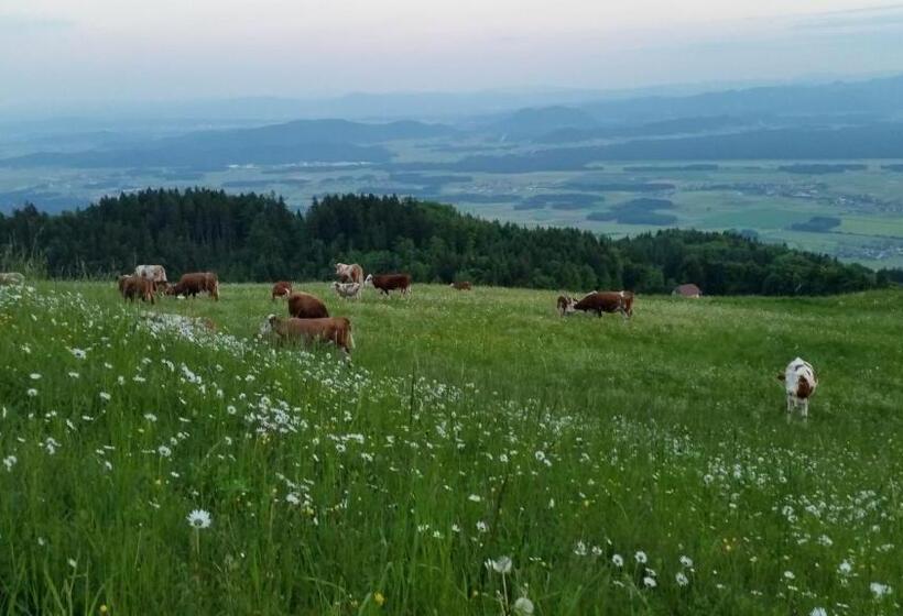 پانسیون Guest House Pr Ambružarju & Apartments