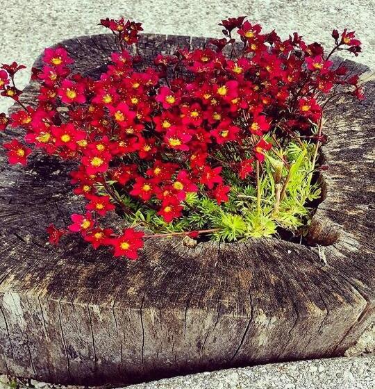 پانسیون Guest House Pr Ambružarju & Apartments