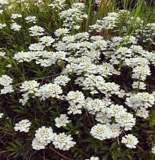 پانسیون Guest House Pr Ambružarju & Apartments