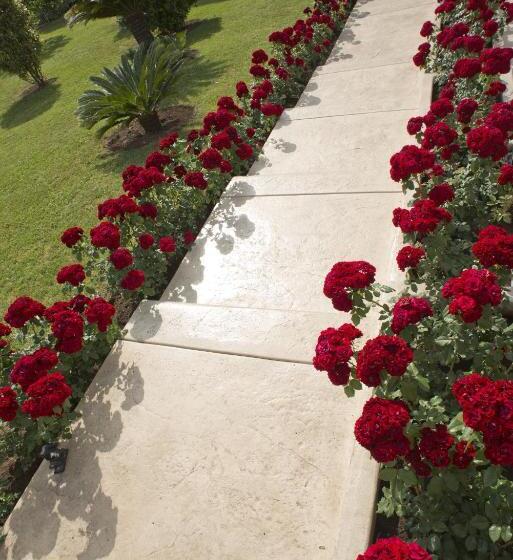 Vila V Lux Apartments