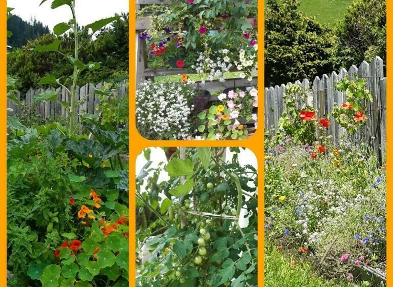 민박 Gästehaus Lackner