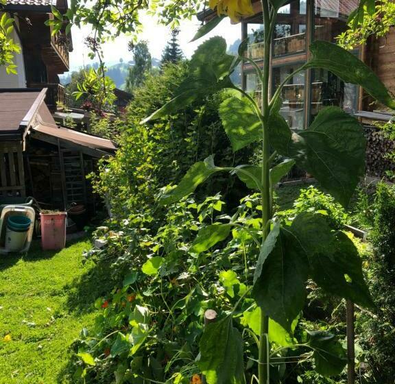 민박 Gästehaus Lackner