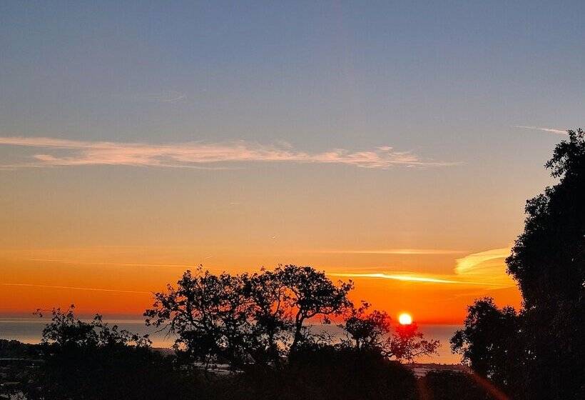 مسافرخانه Cal Music B&b