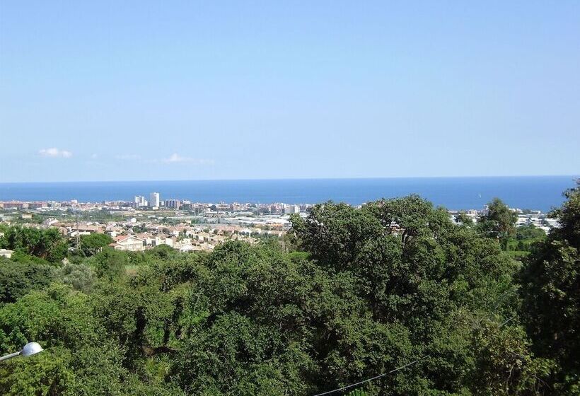 مسافرخانه Cal Music B&b