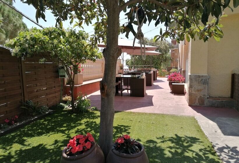 مسافرخانه Cal Music B&b