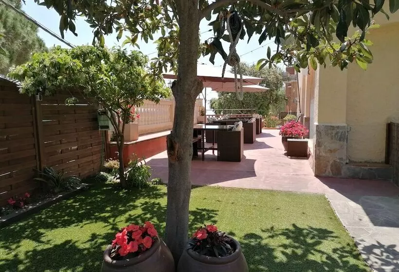 פונדק Cal Music B&b