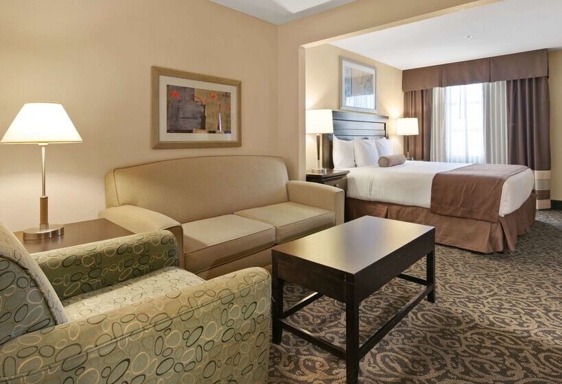 هتل Best Western Plus Las Vegas South Henderson