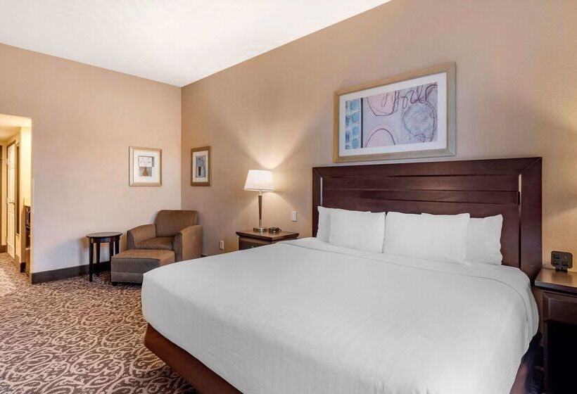 هتل Best Western Plus Las Vegas South Henderson