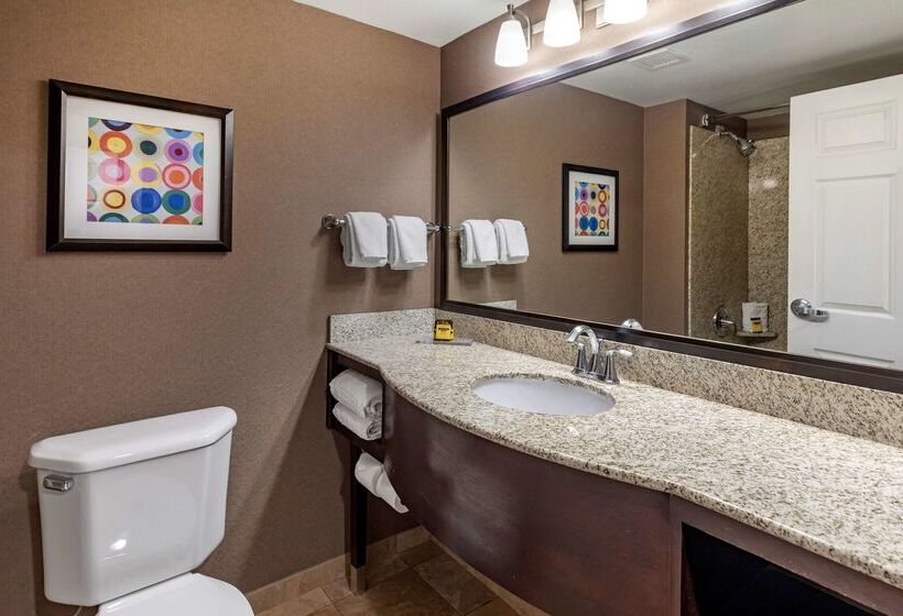 هتل Best Western Plus Las Vegas South Henderson