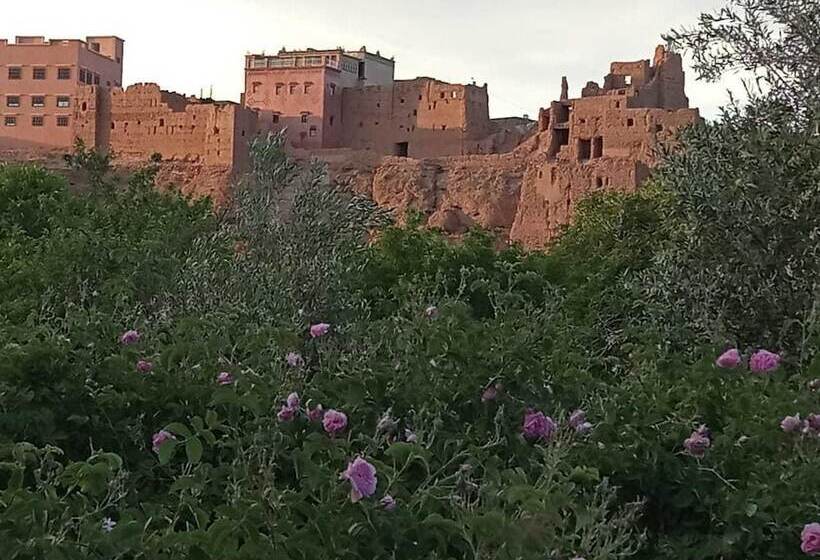 Отель Gîte Assafar