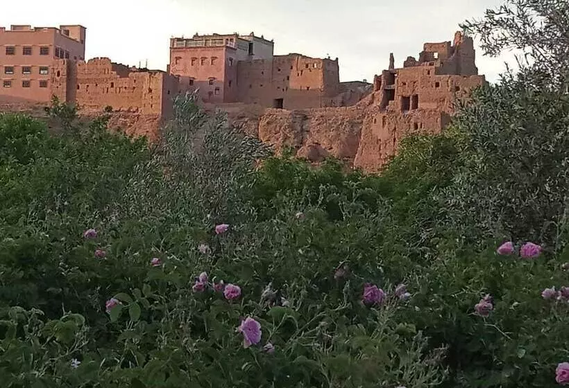 Отель Gîte Assafar