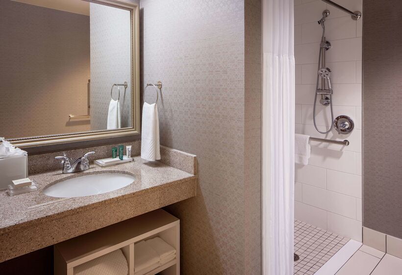 בית מלון כפרי Hilton Richmond Downtown