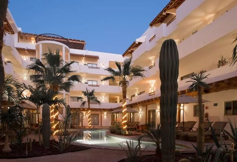 Hôtel Santa Fe Loreto by Villa Group