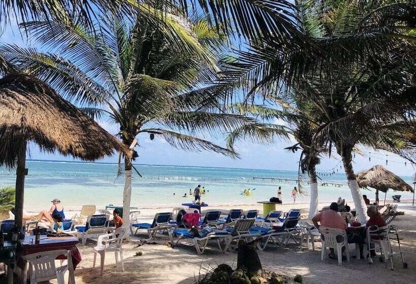 Отель Camping Lunas Bar