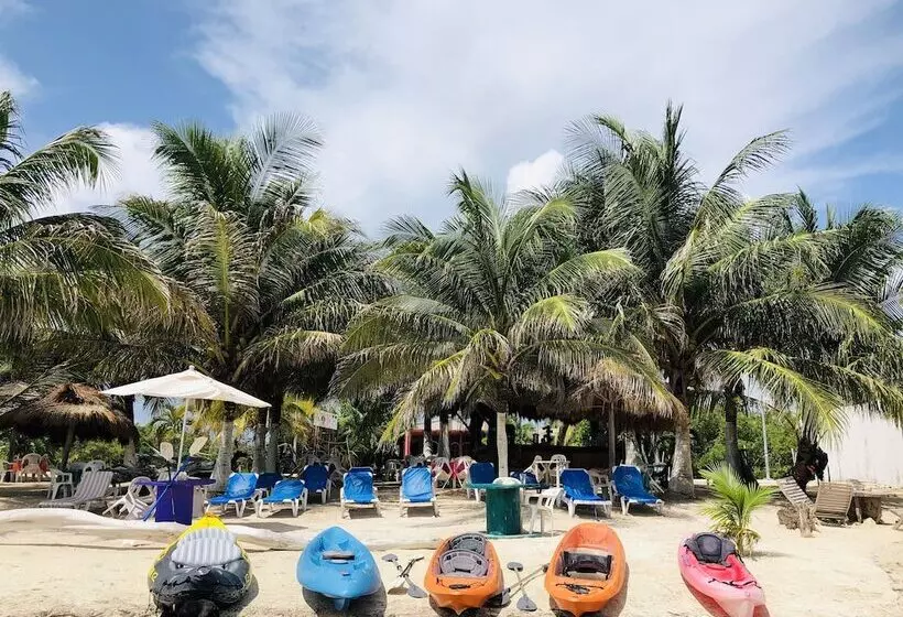 Hotelli Camping Lunas Bar