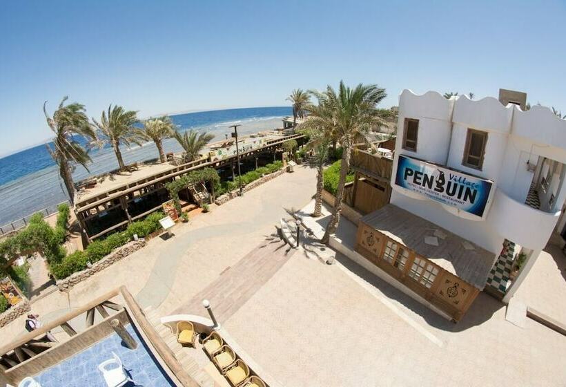 هتل Penguin Village Dahab