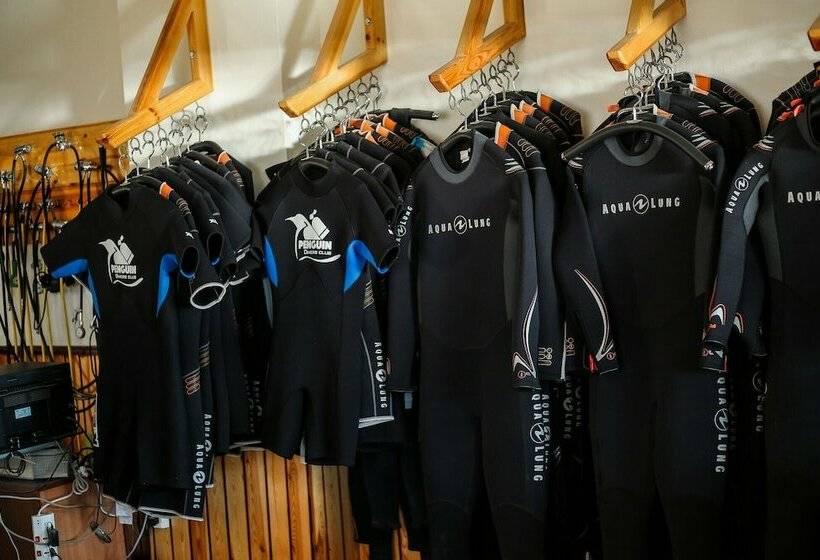 هتل Penguin Village Dahab