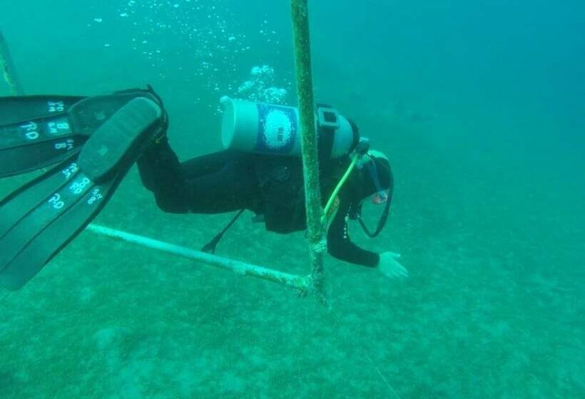 هتل Penguin Village Dahab