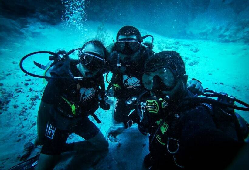 هتل Penguin Village Dahab