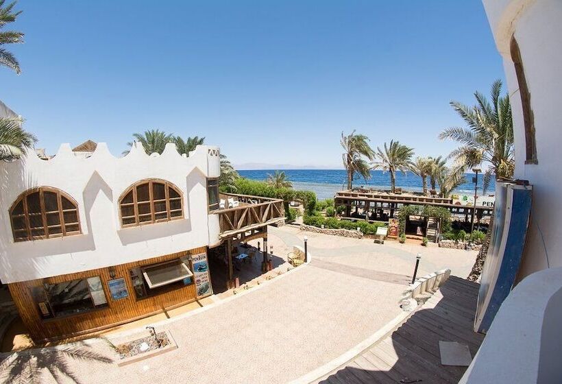 هتل Penguin Village Dahab