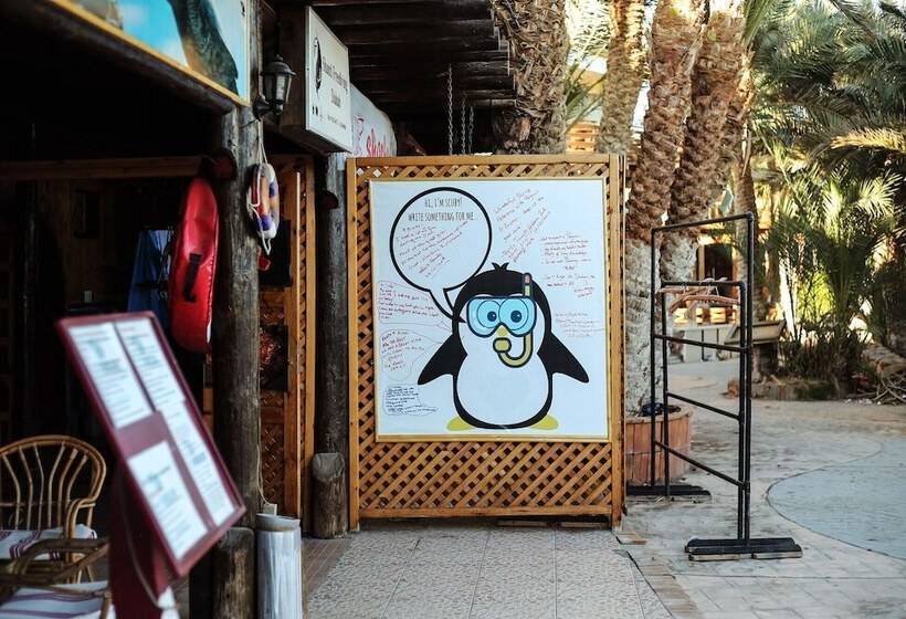 هتل Penguin Village Dahab