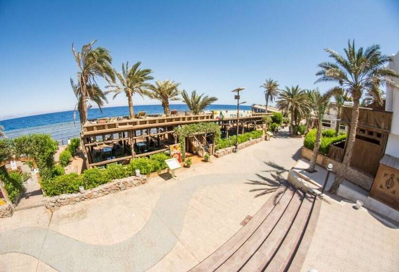 هتل Penguin Village Dahab