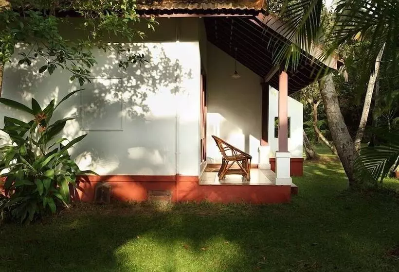 Hotel Abad Turtle Beach