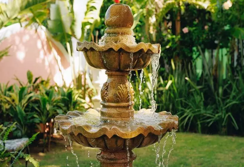 Hotel Boutique Quinta Das Videiras